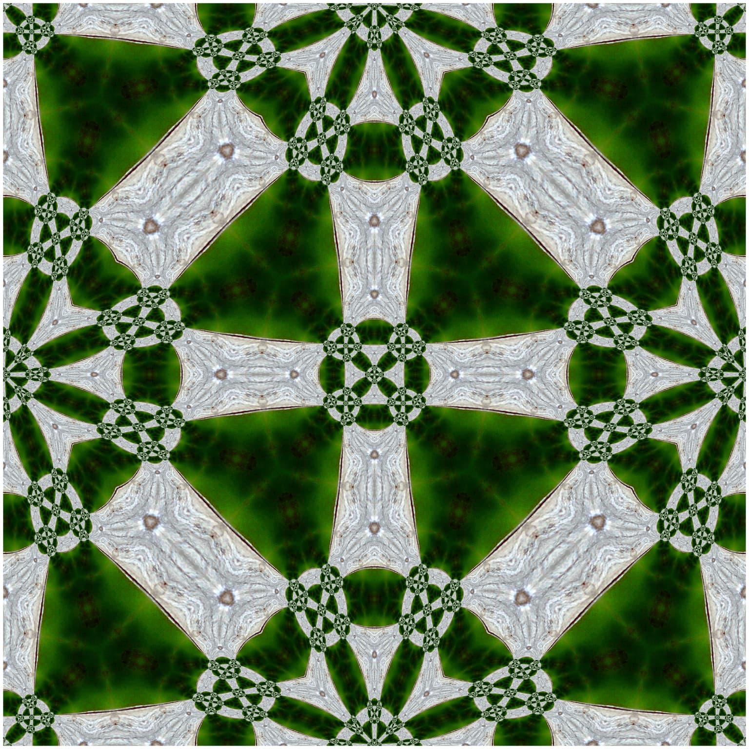 Image for Crossing Crosses
