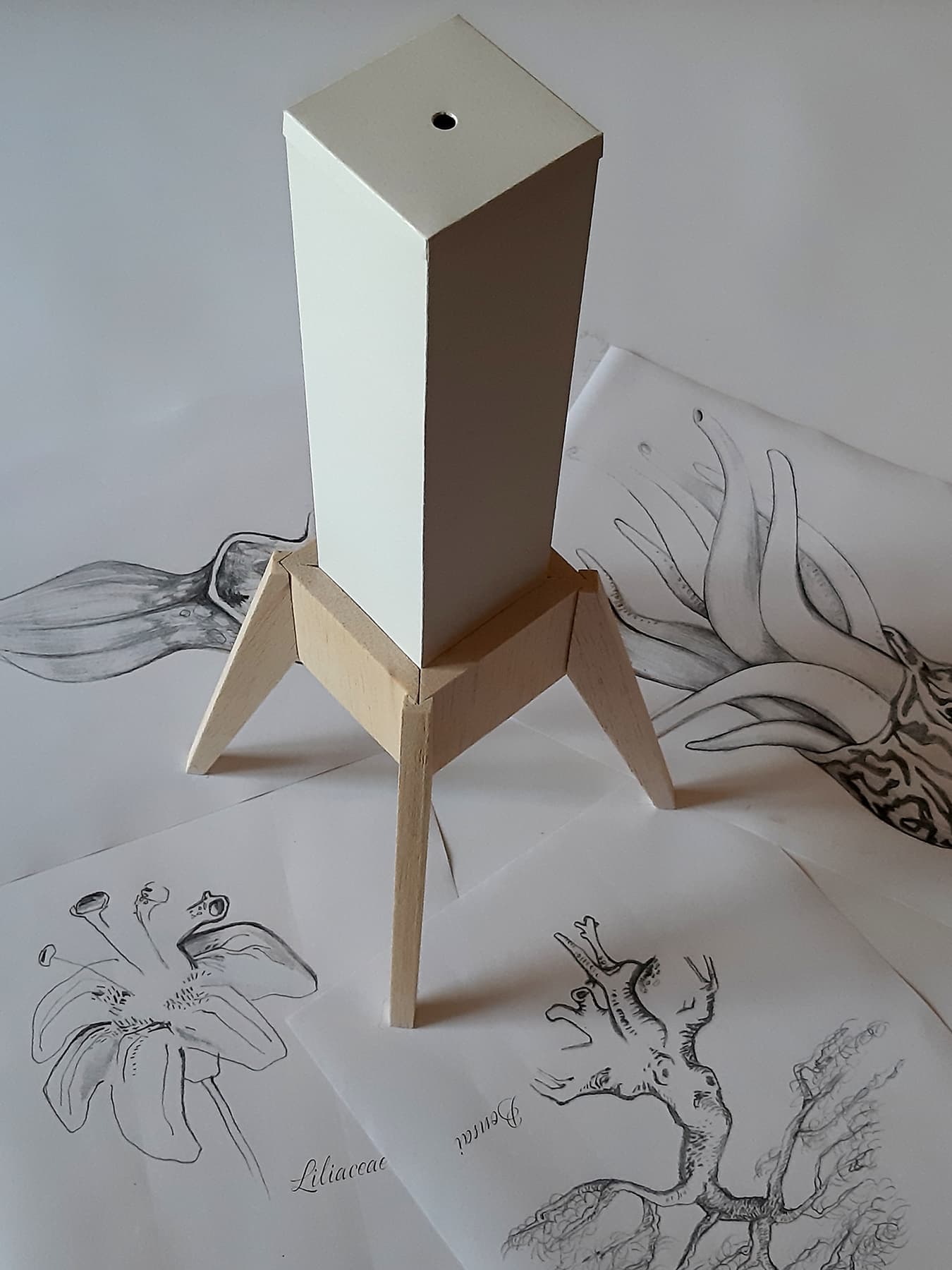 Image for entry 'Reanimation'