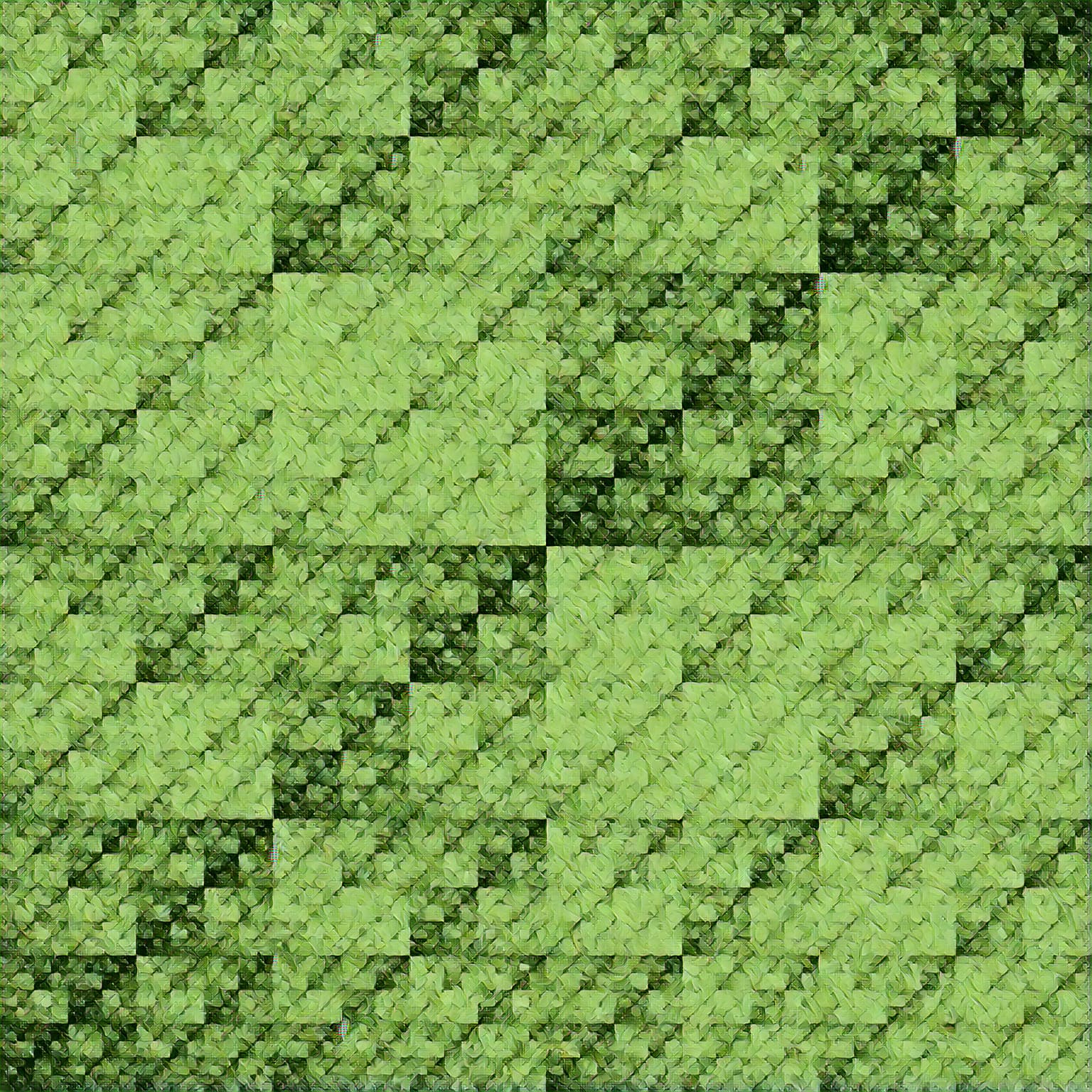 Image for entry 'Cannabis tilings at the rupture of the genotype-phenotype distinction'