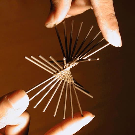 Image for submission 'Xenia Diente'