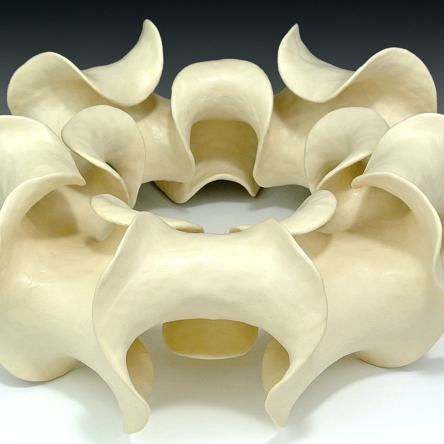 Image for submission 'Robert Fathauer'