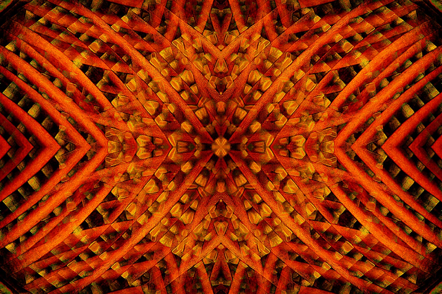 Image for entry 'into the sun'