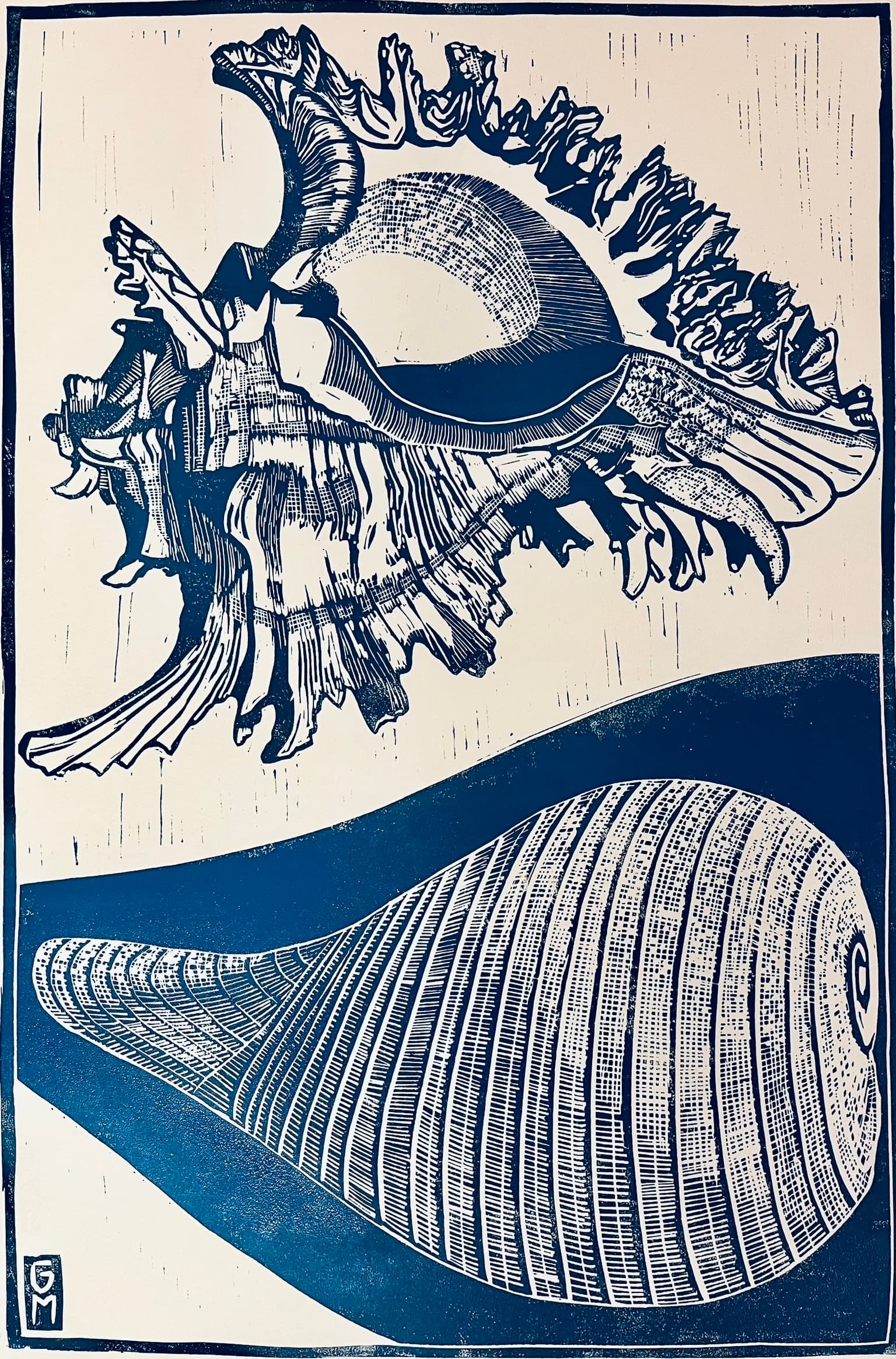 Image for entry 'smooth curves and fractal lines'