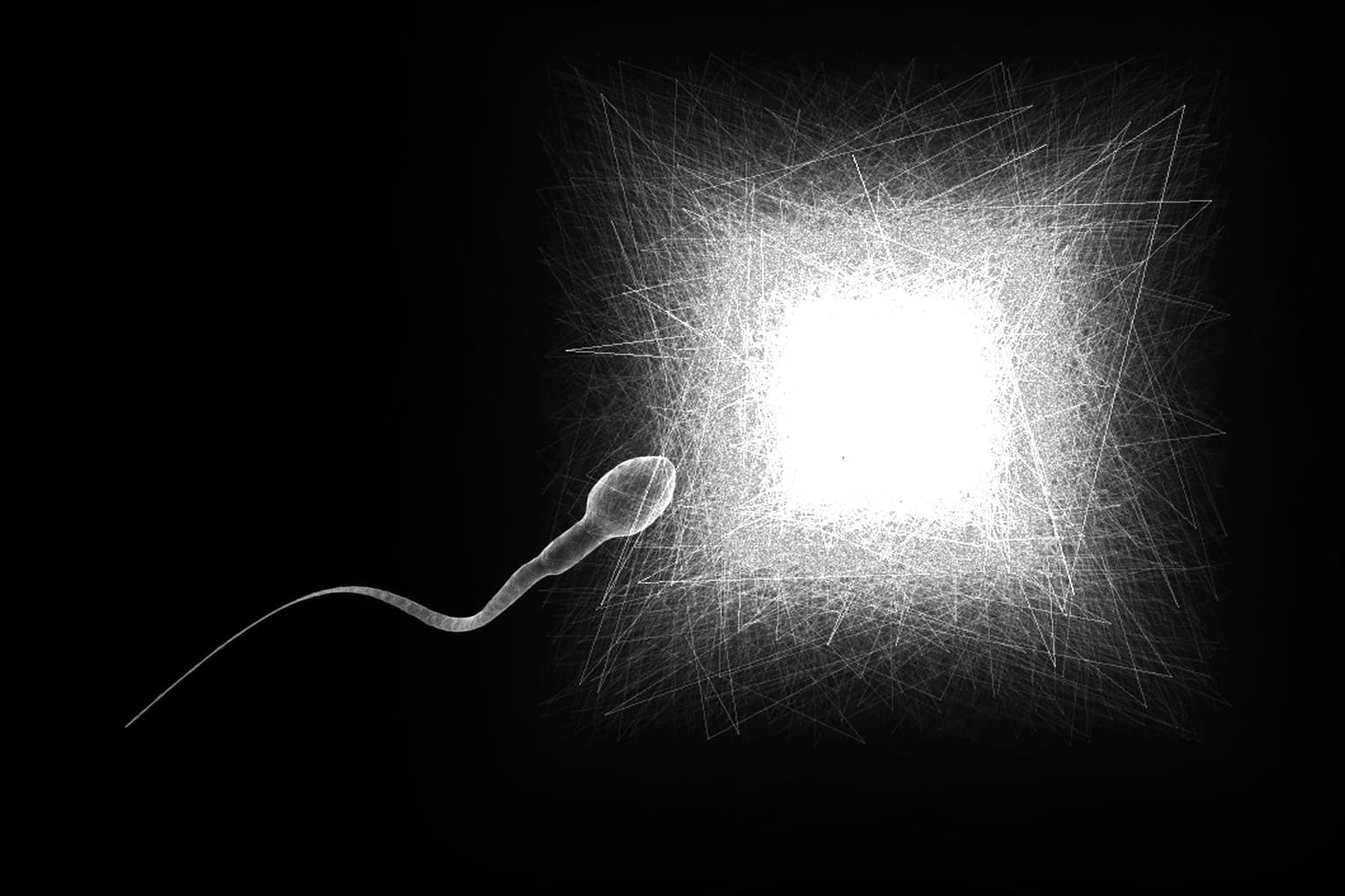 Image for entry 'A mathematical fertilization'