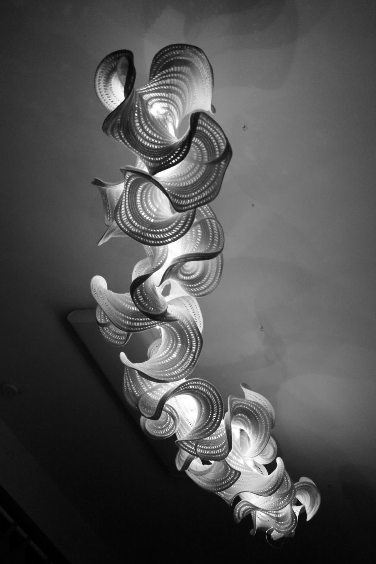 Image for entry 'White Algae'