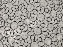 Image for submission 'Nithikul Nimkulrat'