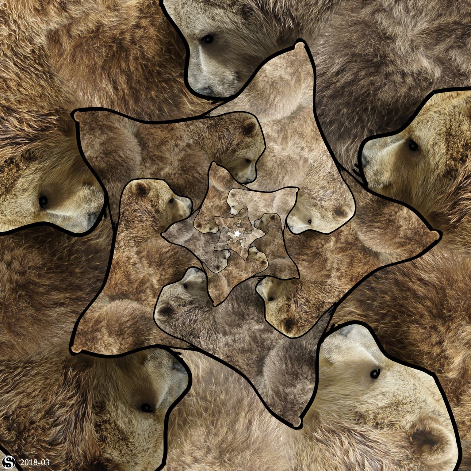 Image for entry 'Bears'