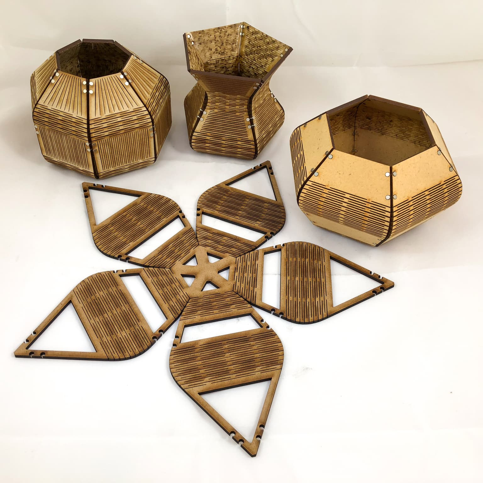 Image for entry 'Living Vases'