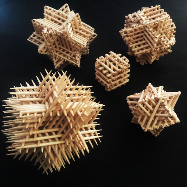 Image for entry 'Hexagramastix'