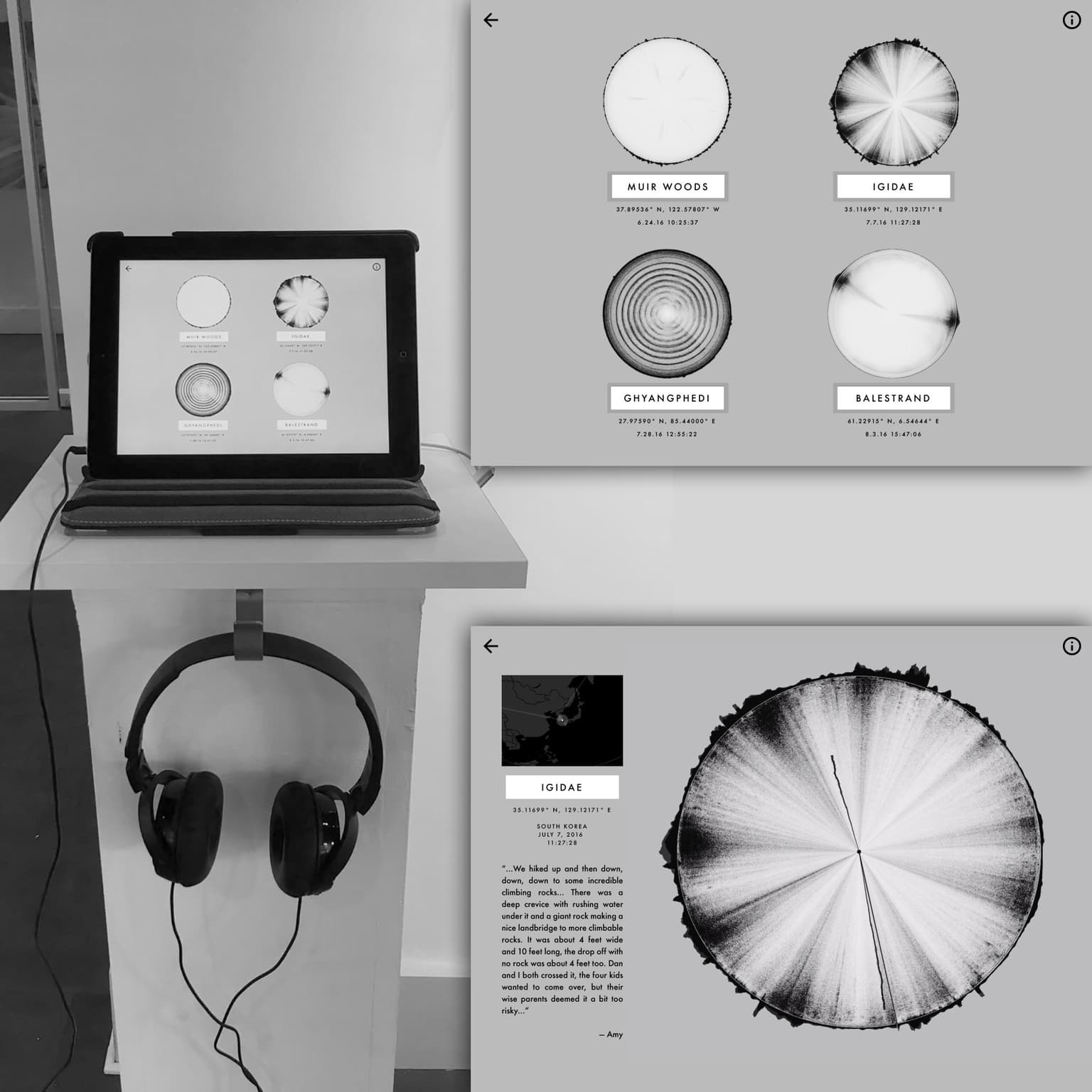 Image for entry 'Audiograms Explorer'