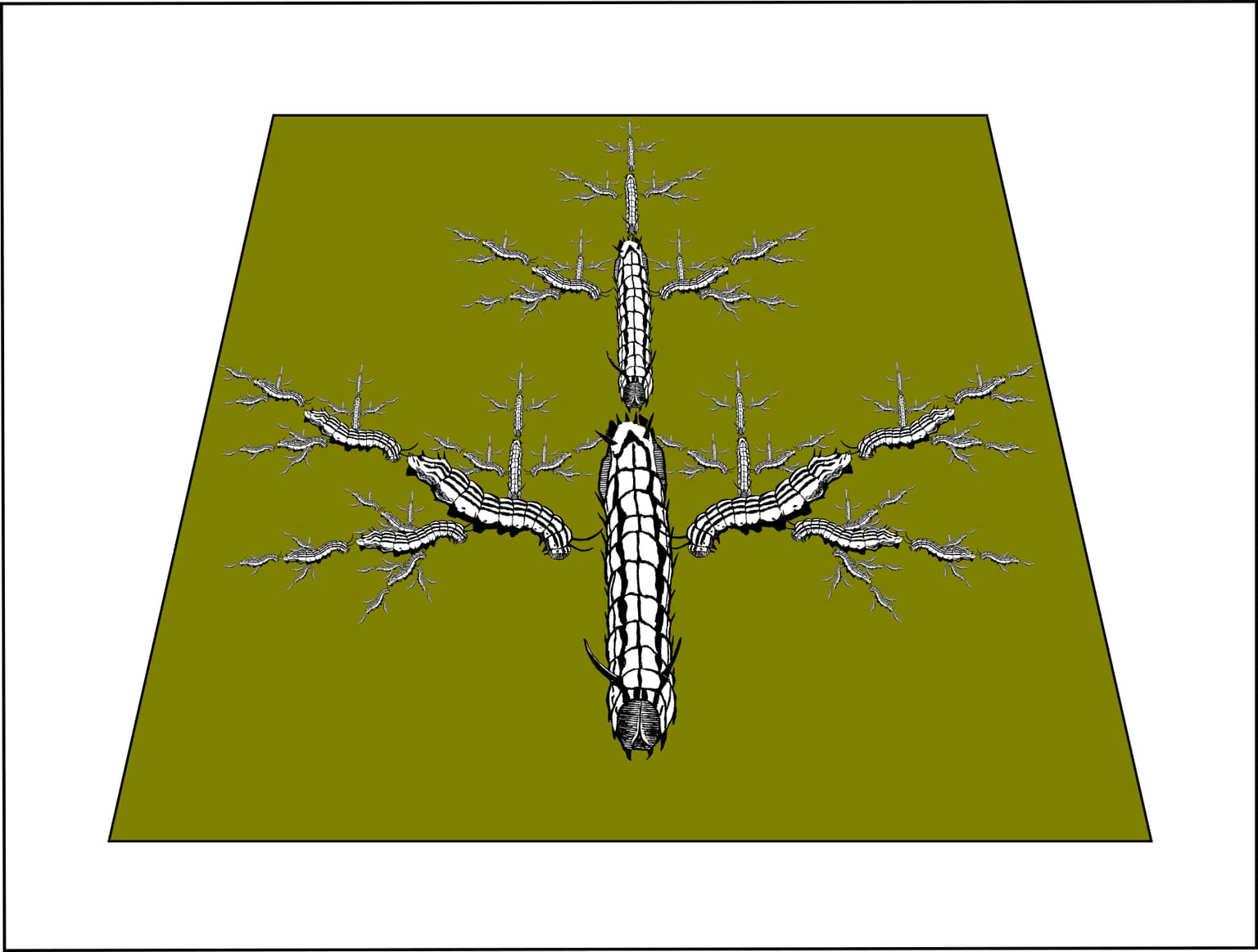 Image for entry 'Maple Worms'