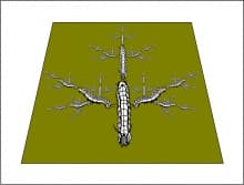 Image for submission 'Aiman Soliman'