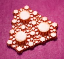 Image for submission 'Uyen Nguyen'