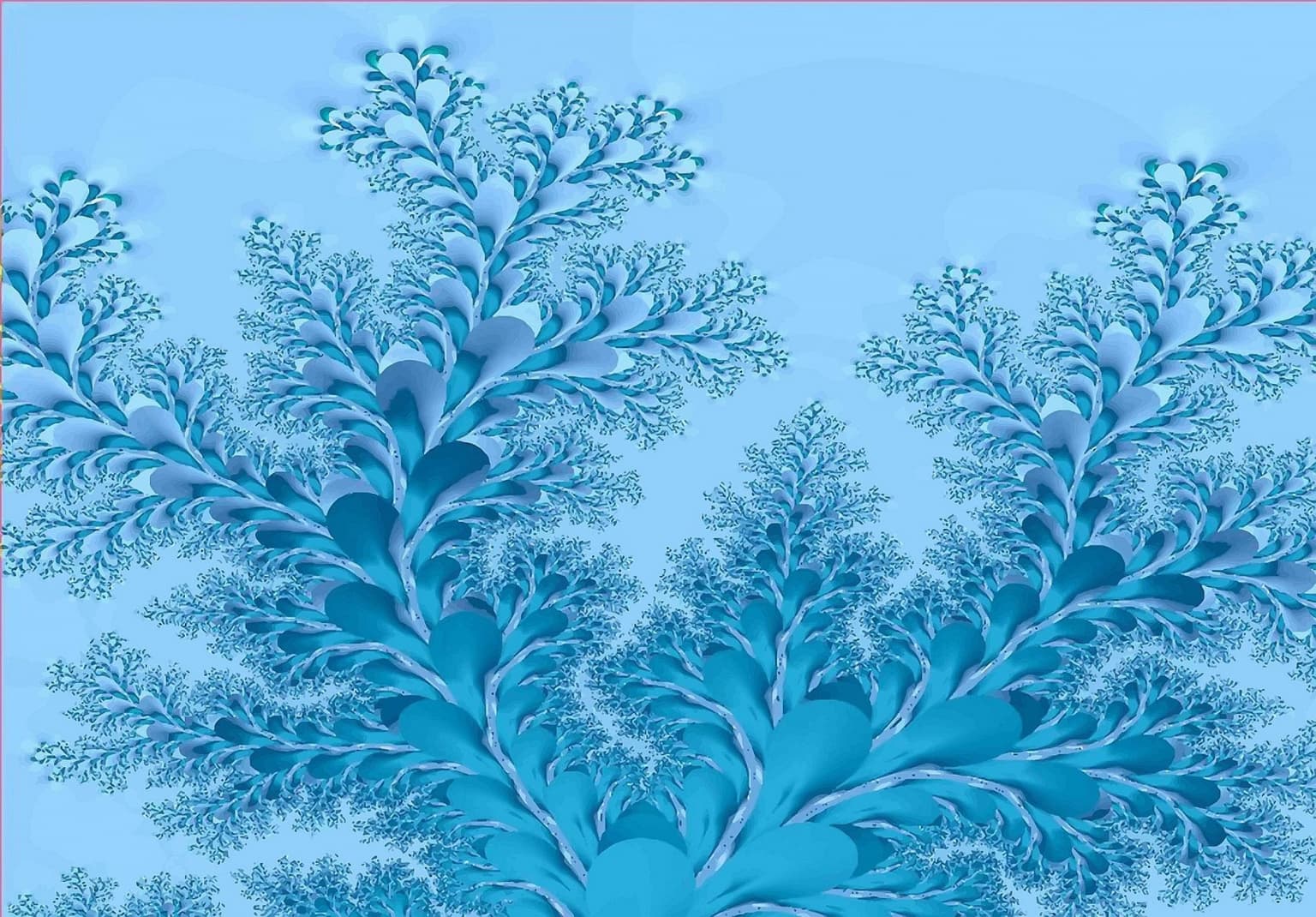 Image for entry 'life tree 2'