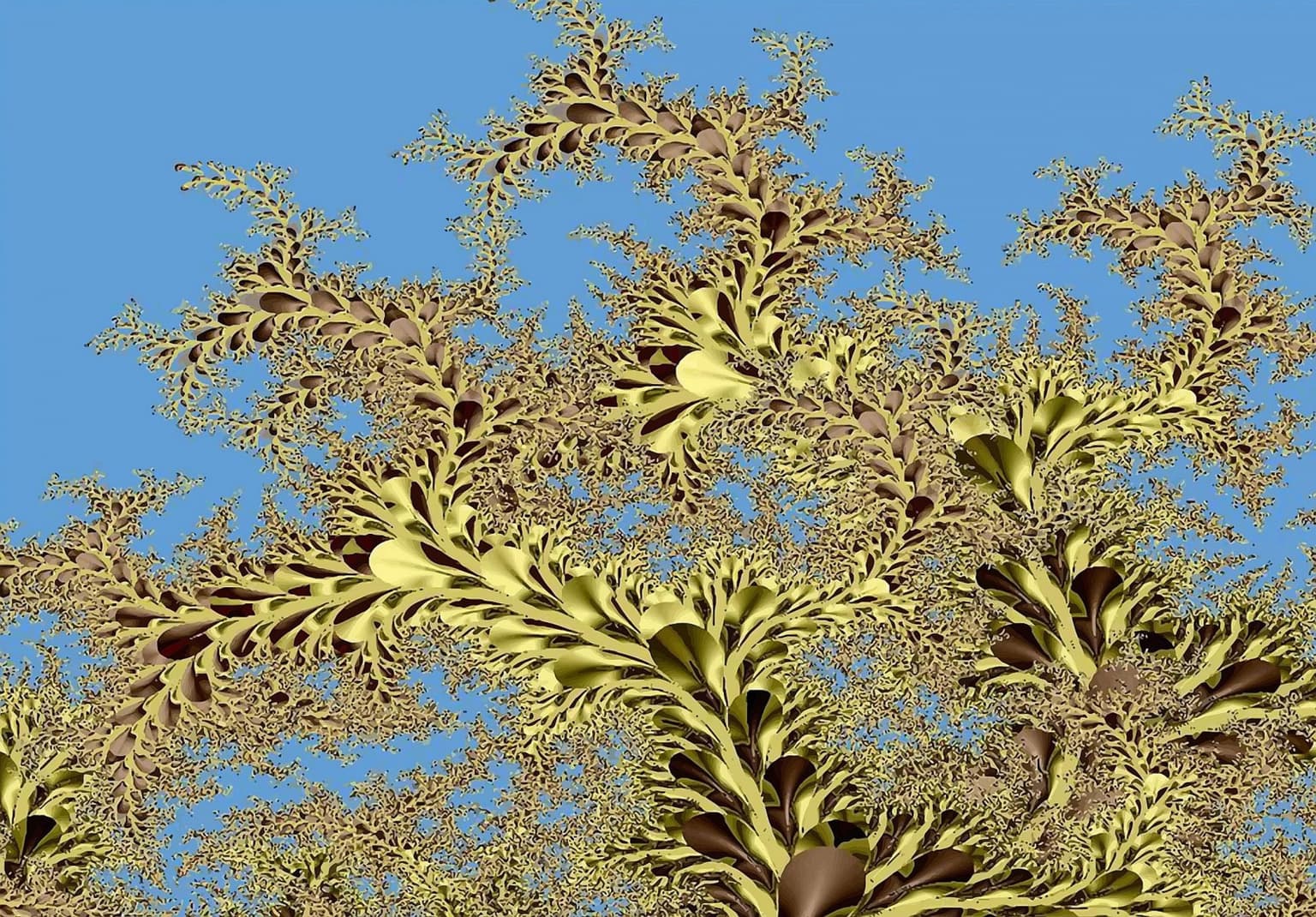 Image for entry 'life tree 1'