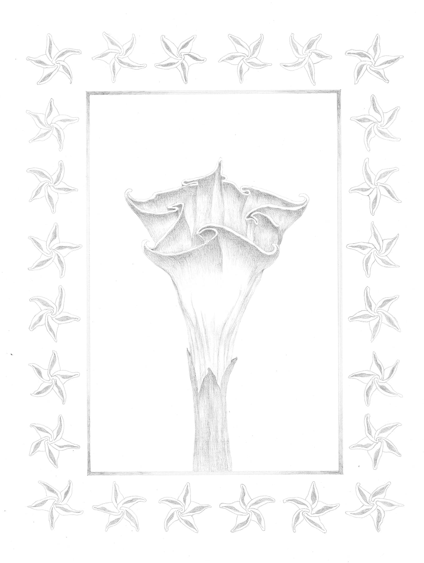 Image for entry 'Symmetry Breaking 1'