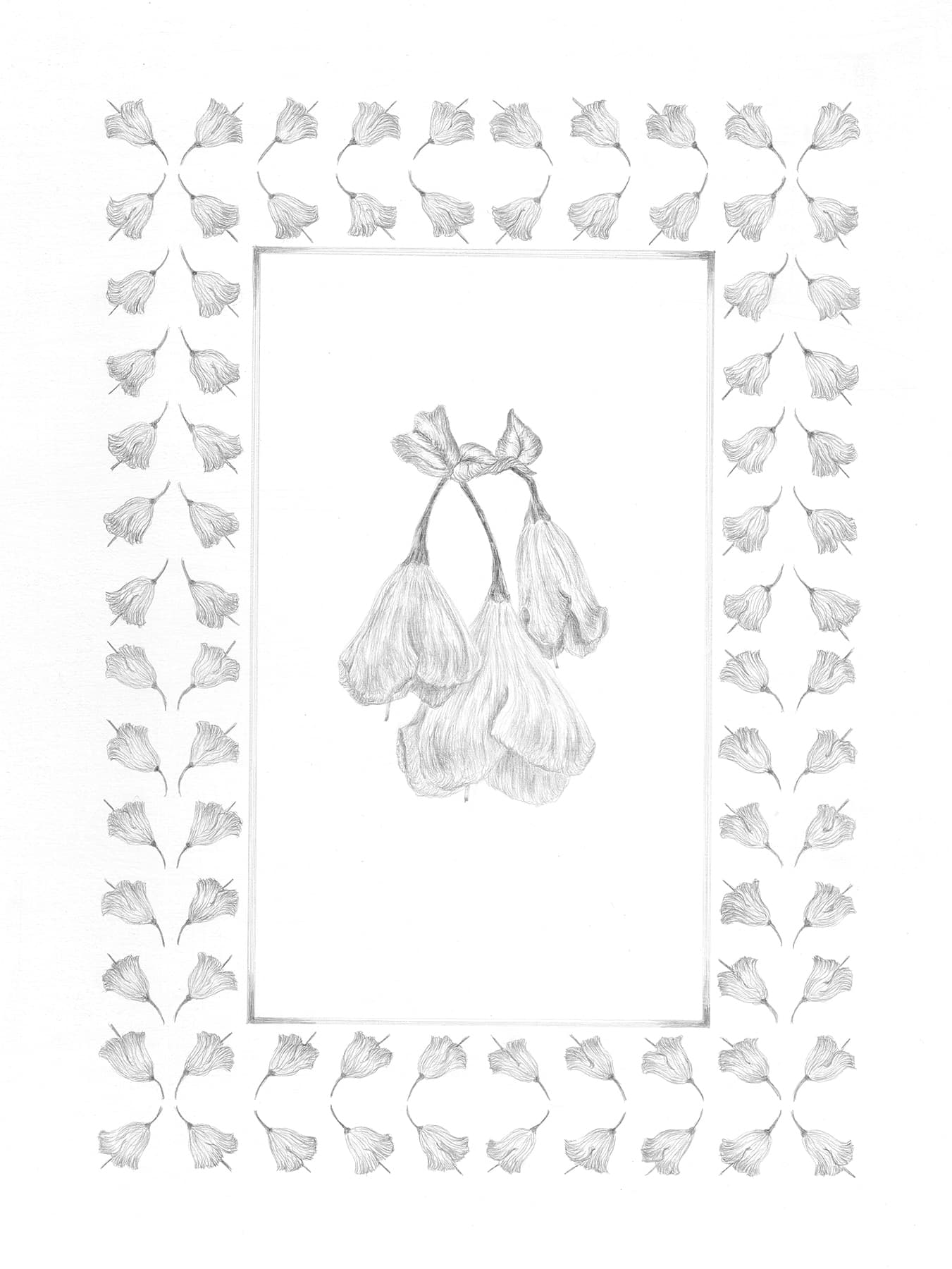 Image for entry 'Halesia carolina 1'