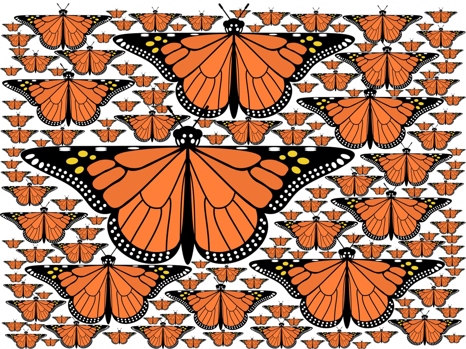 Image for submission 'Doug Dunham and John Shier'