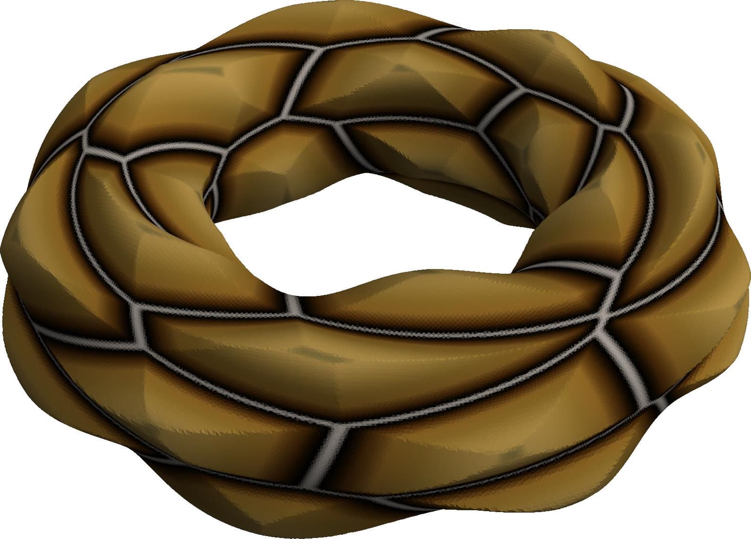 Image for entry 'Tortoise Torus'