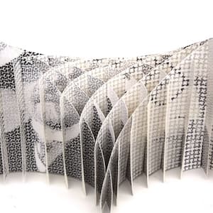 Image for submission 'Vivian Wang'