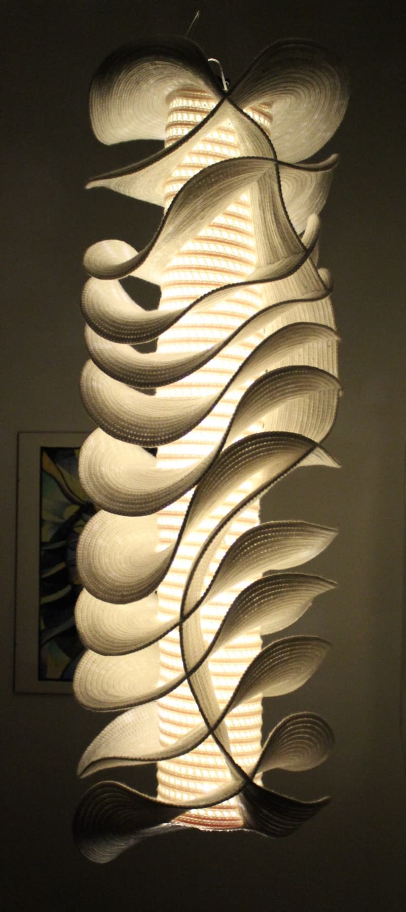 Image for entry 'visualization of complex w=z^12 crocheted around a cylinder'