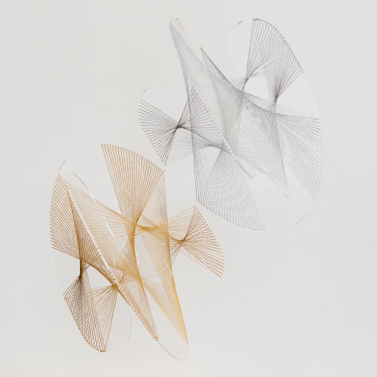 Image for submission 'David H Press'