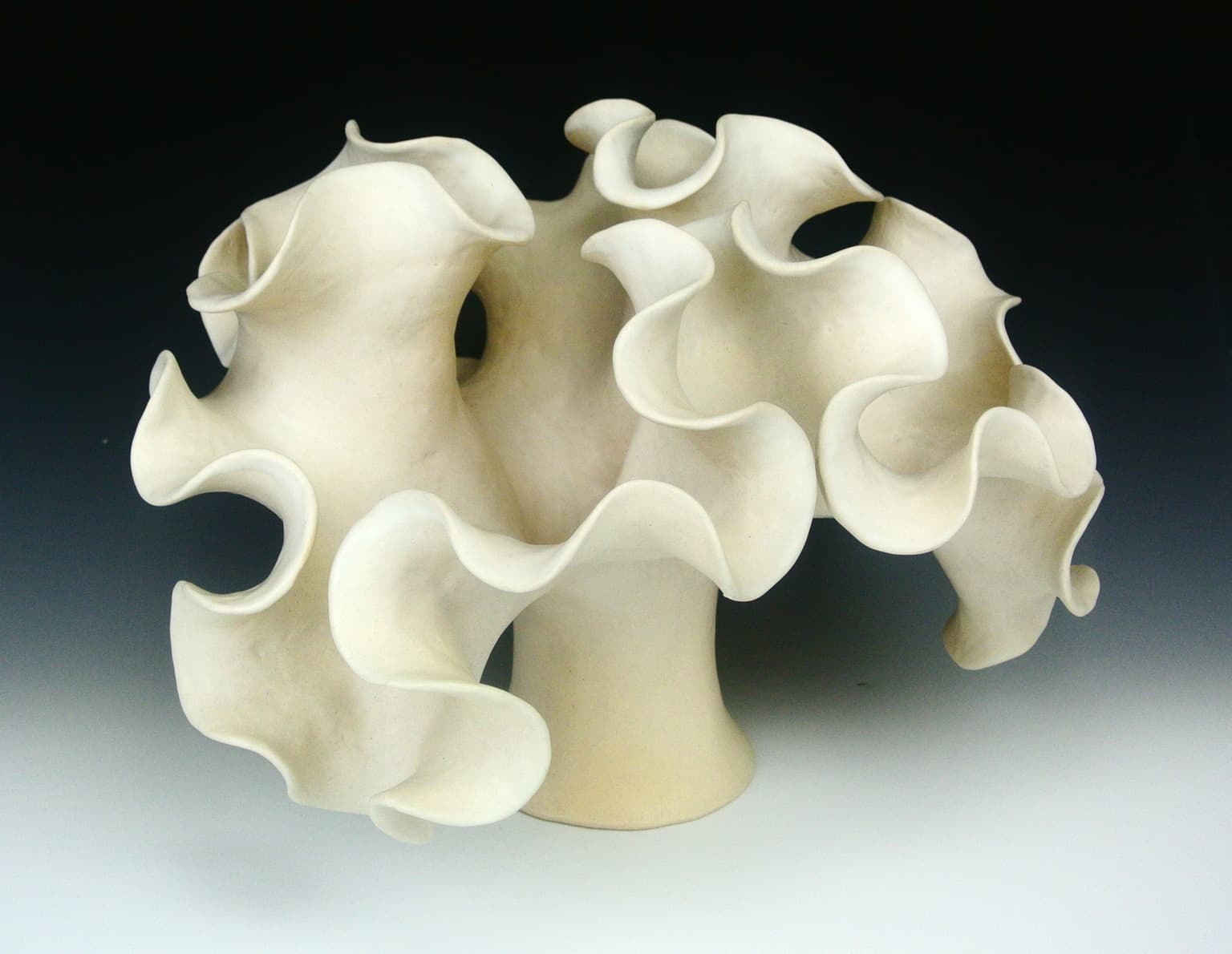 Image for entry 'Negative Curvature'