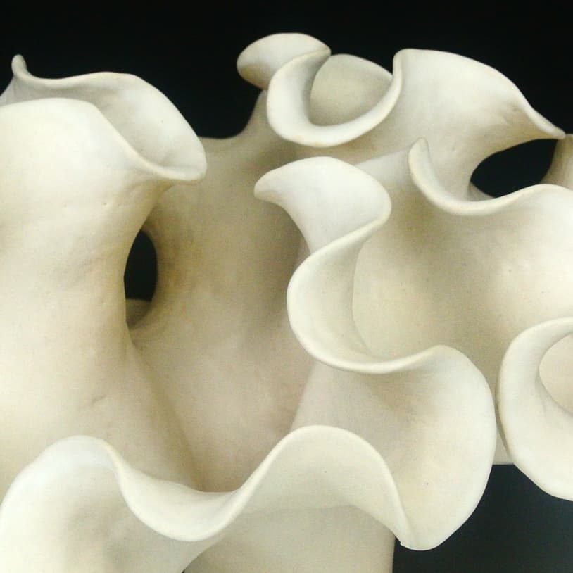 Image for submission 'Robert Fathauer'