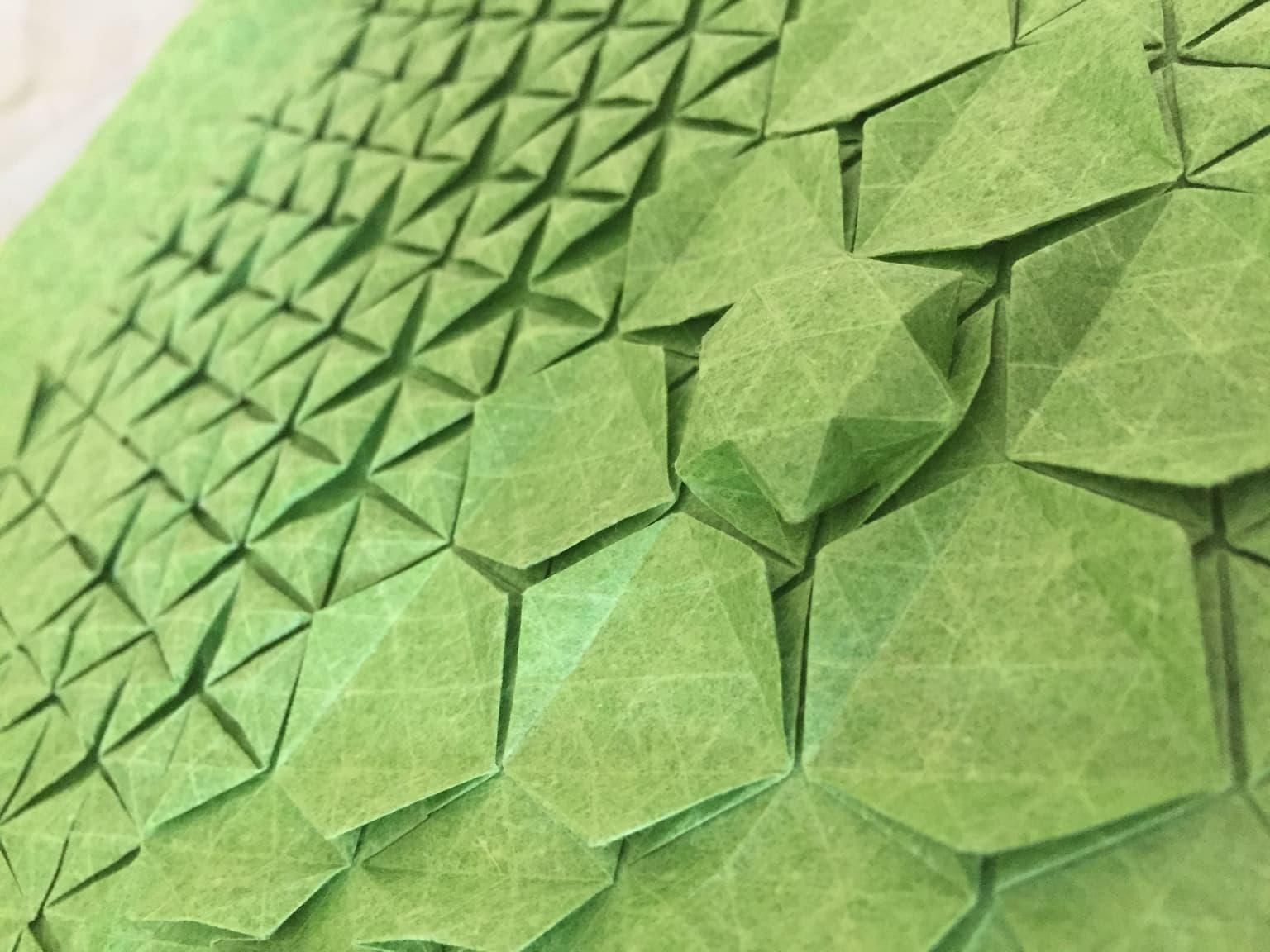 Image for submission 'Joy Hsiao'