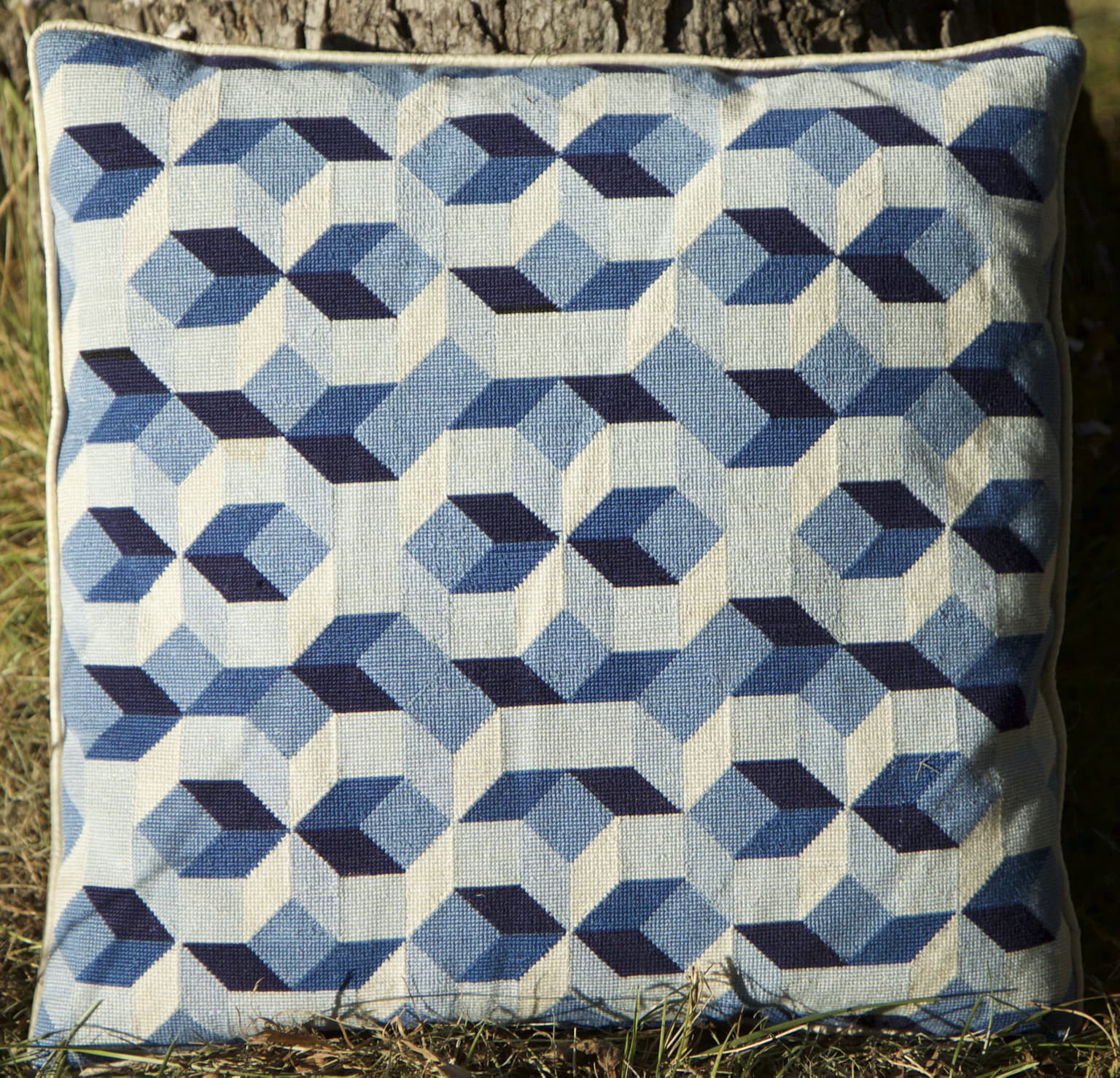Image for entry 'Ammann Cushion'