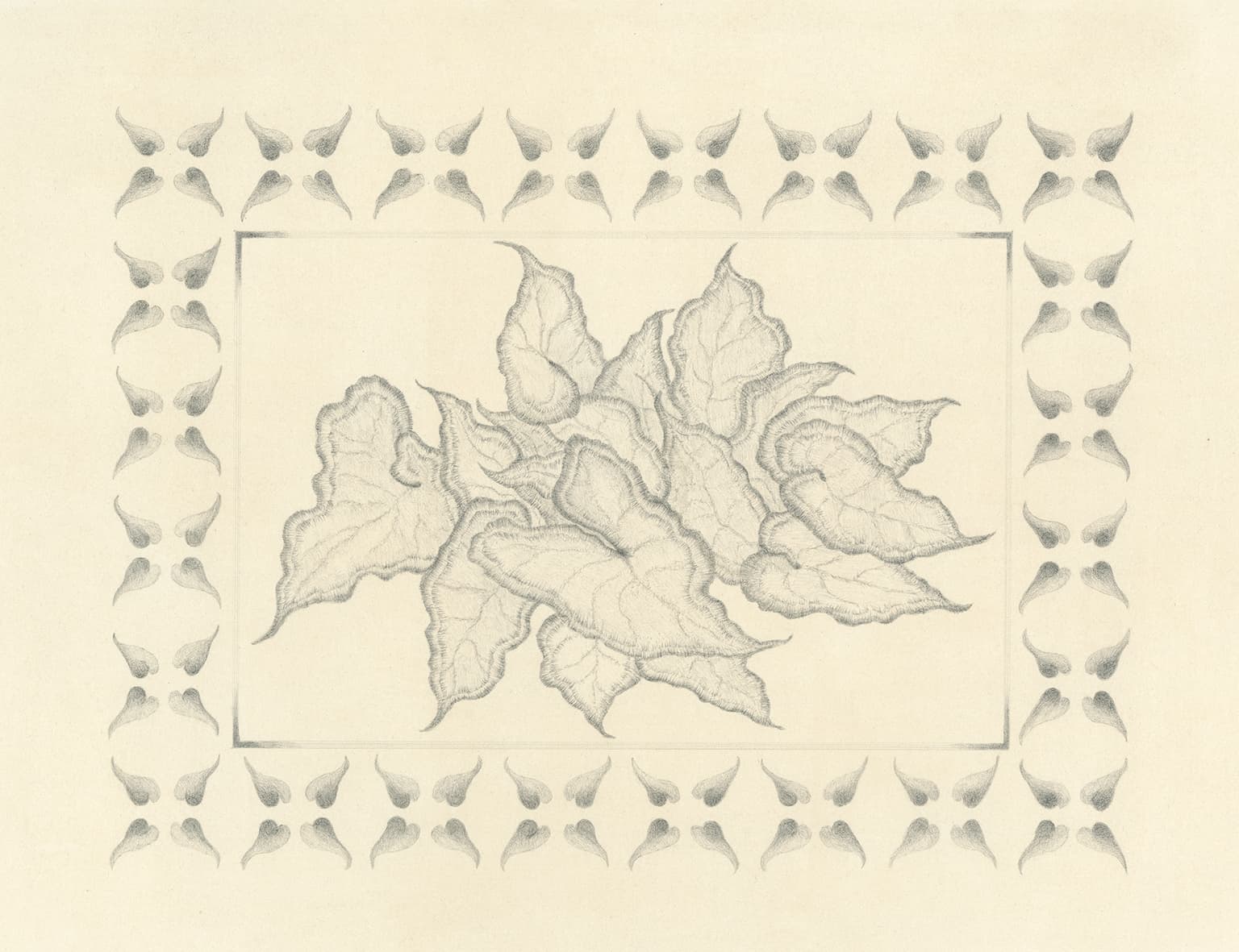 Image for entry 'Calladium 1'