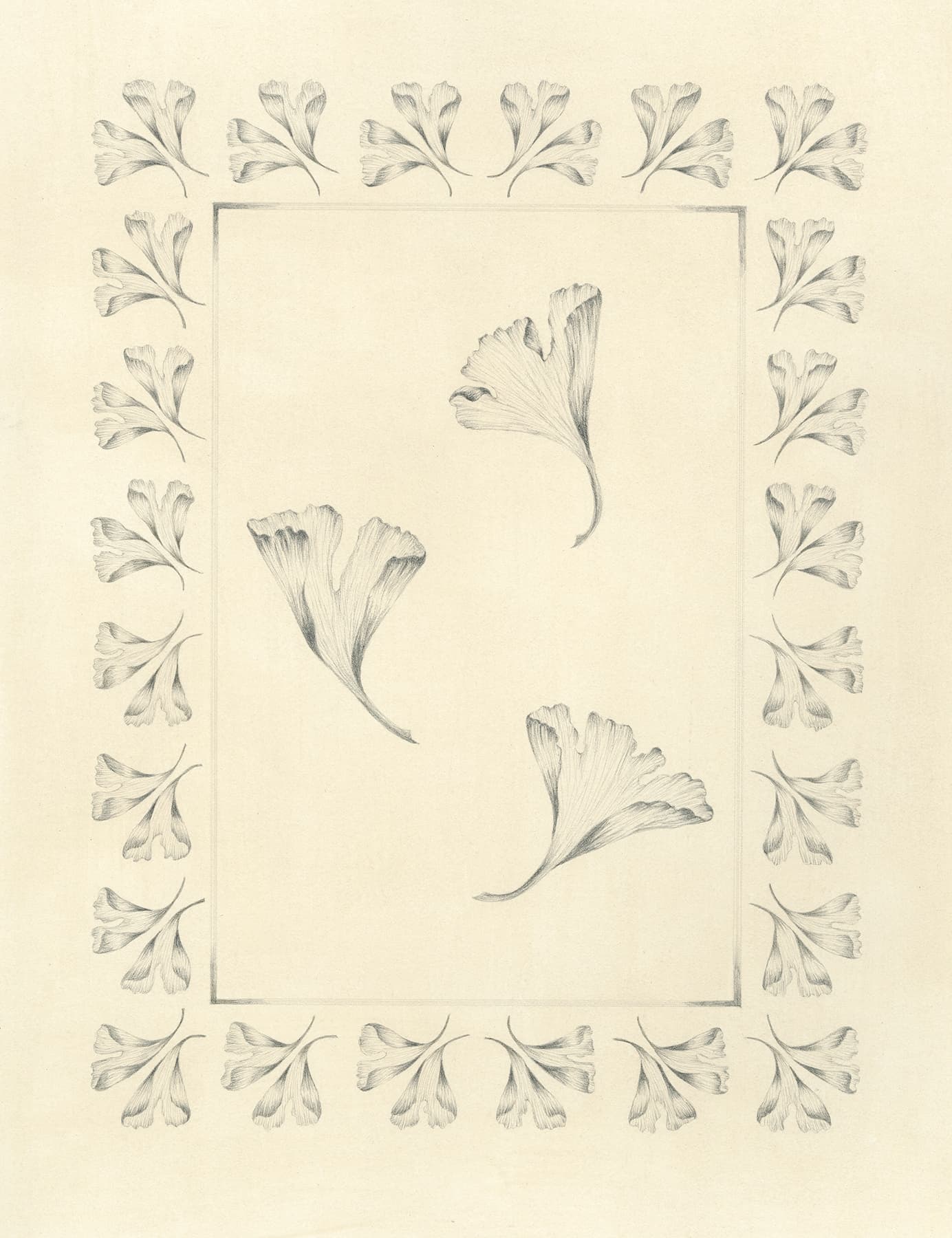 Image for entry 'Ginko 1'