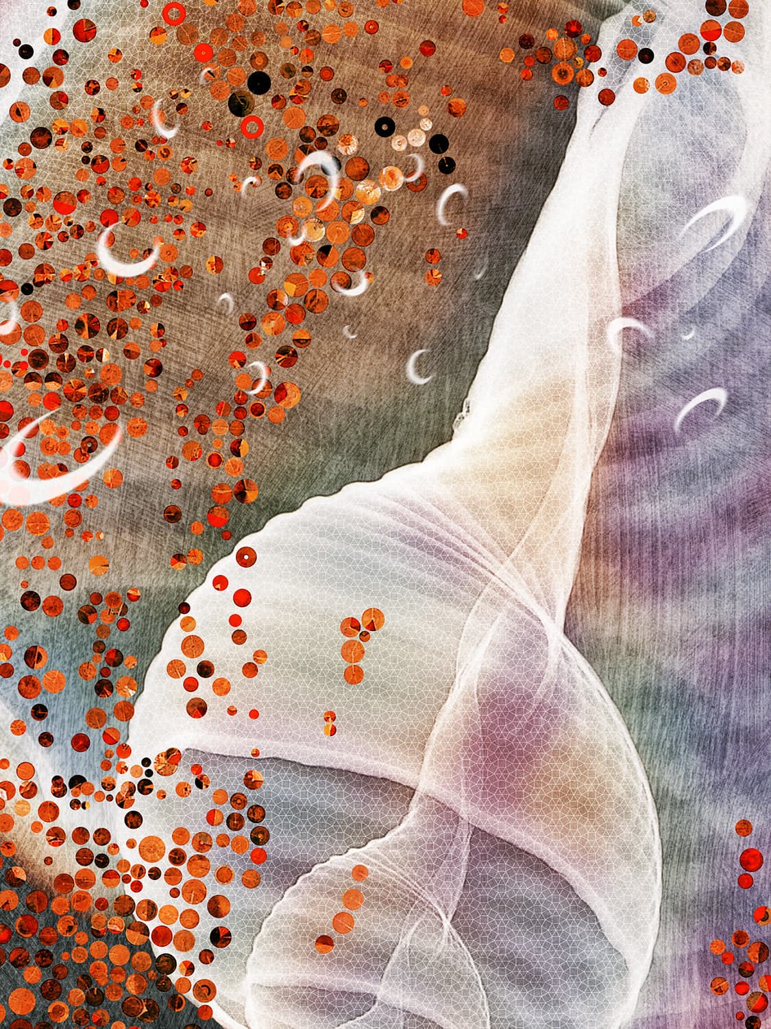 Image for entry 'Randomness {Ch'an Mind Zen Mind Digital Print Series}'