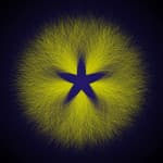 Image for submission 'David Reimann'