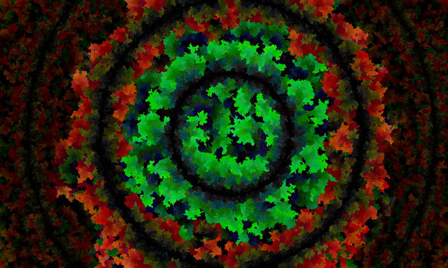 Image for entry 'Concentric Automata'