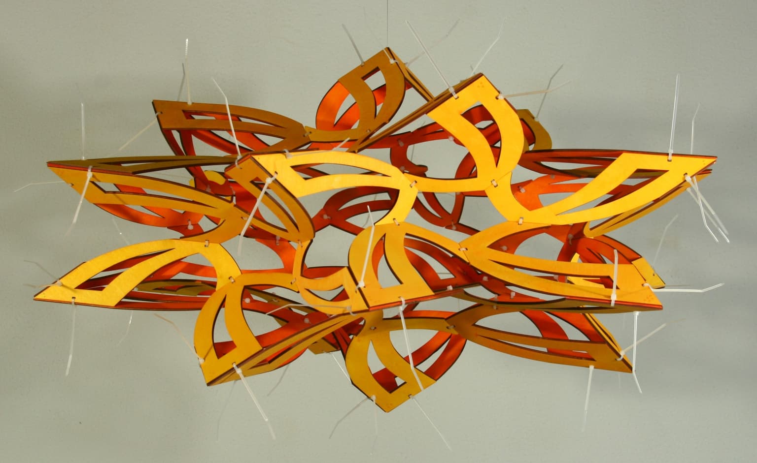 Image for entry 'Oxalis'