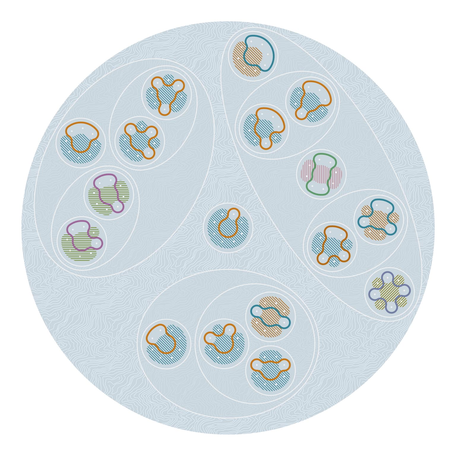 Image for entry 'Archaea (dual partitions)'