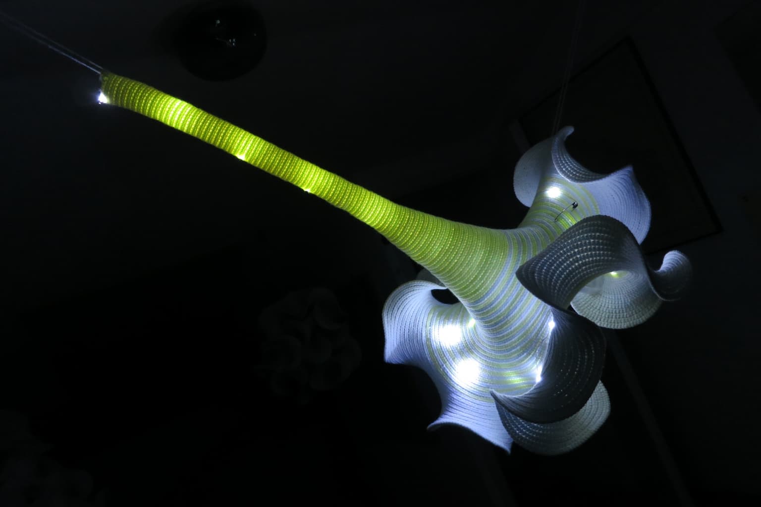 Image for entry 'Illuminated Blossom'