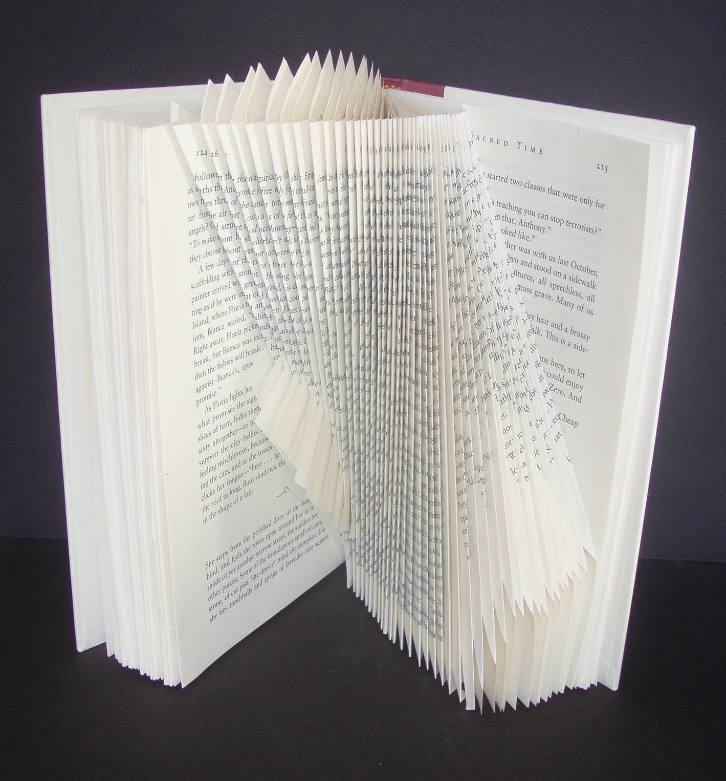 Image for entry 'Parabola, Sacred Times'