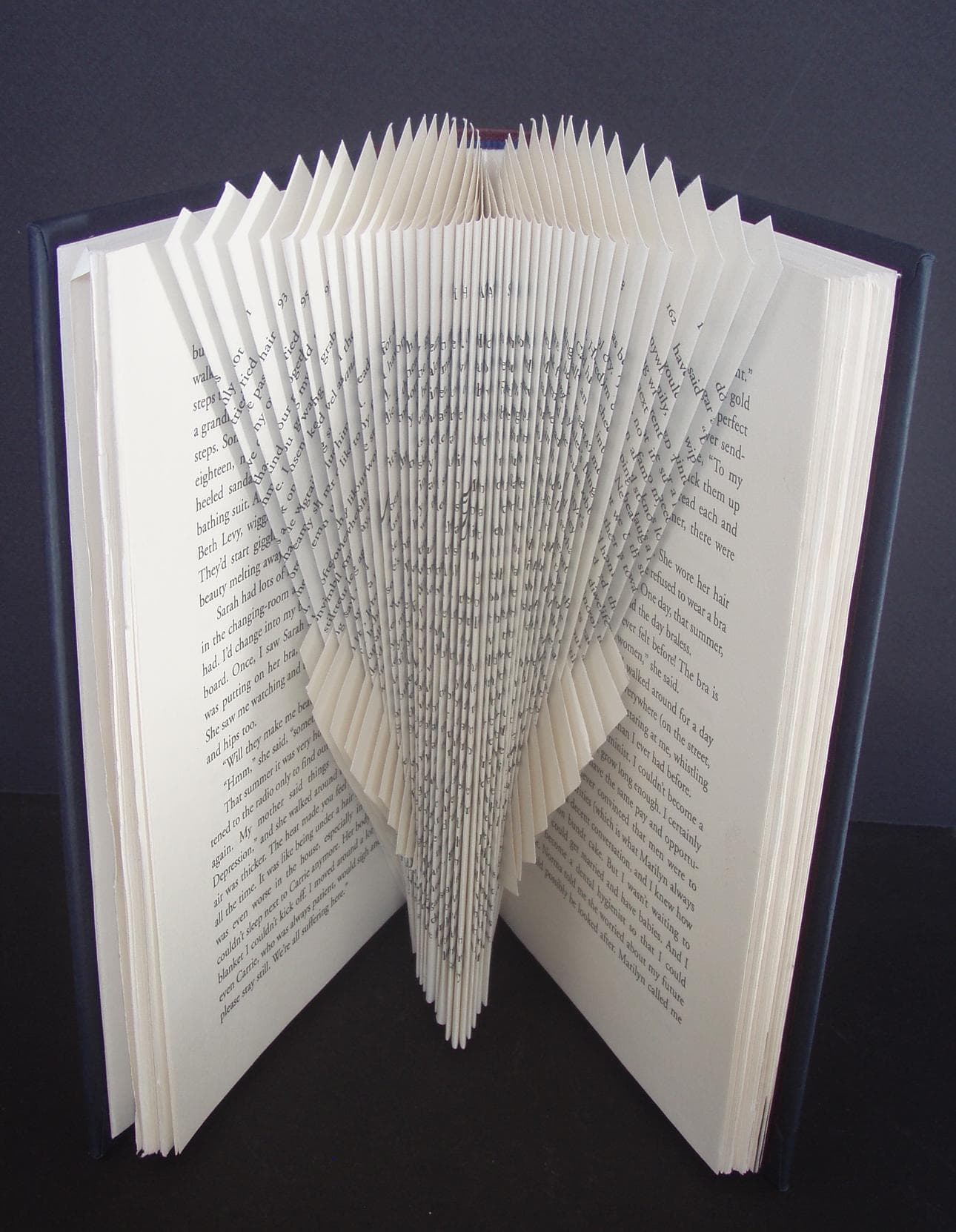 Image for entry 'Parabola, Holding My Breath'