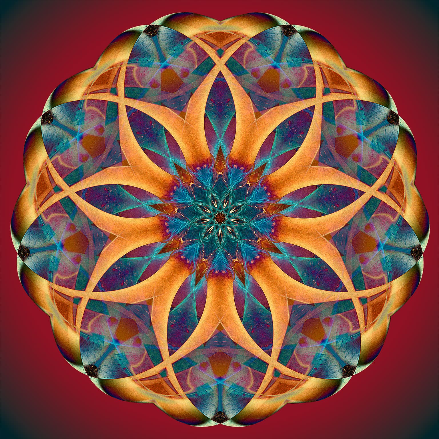Image for entry 'Calypso Wheel'