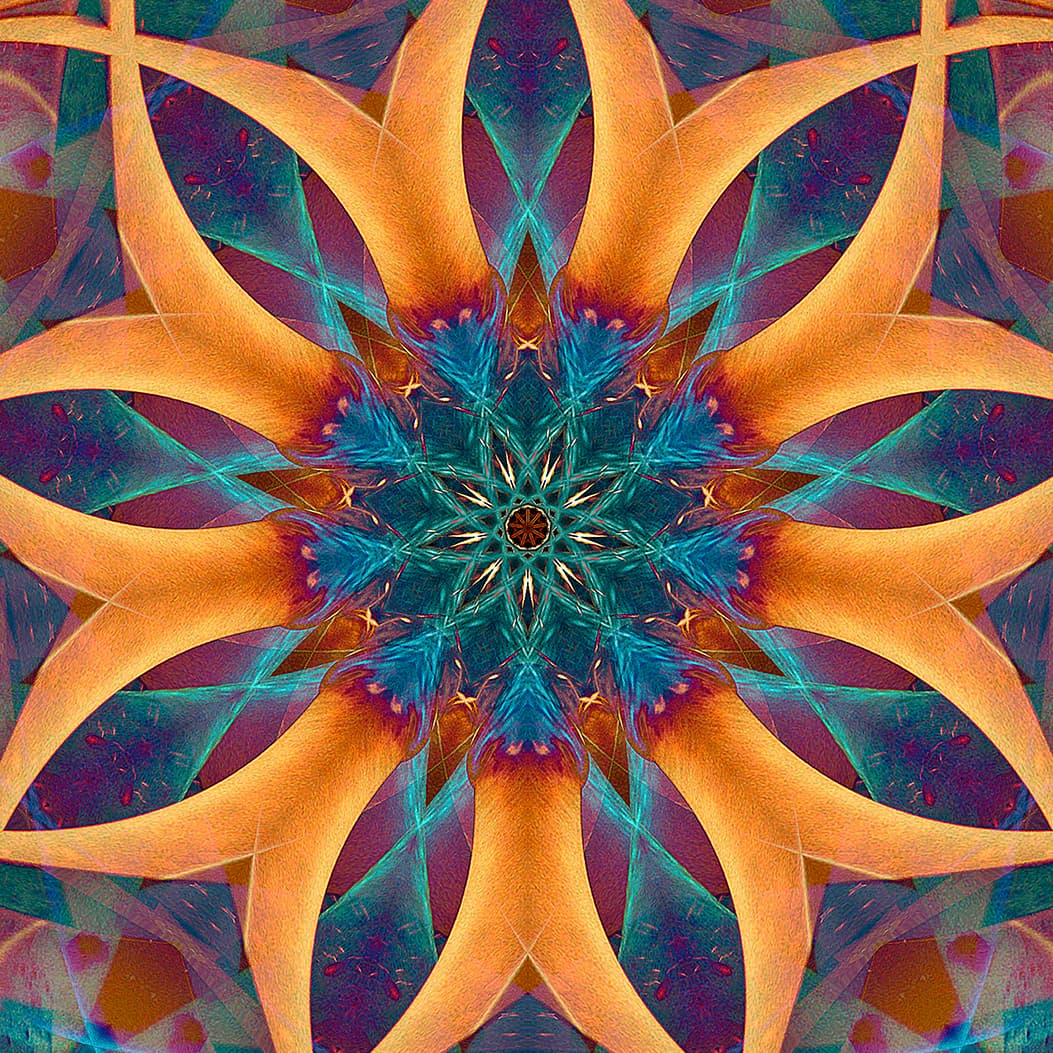 Image for submission 'James Stasiak'