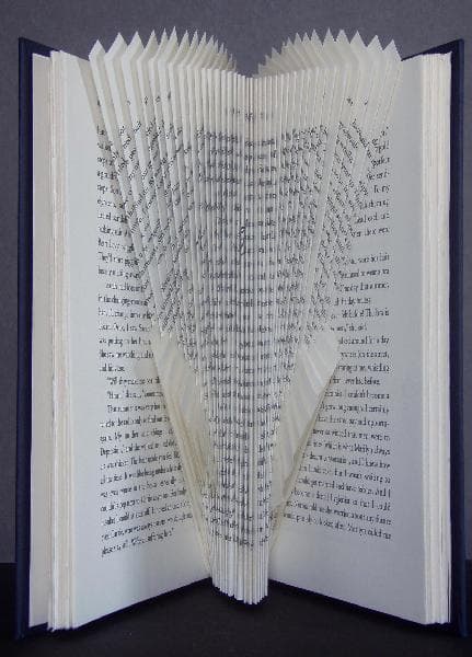 Image for submission 'Sharol Nau'