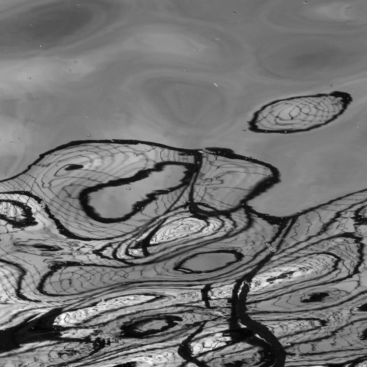 Image for entry 'Warped space'