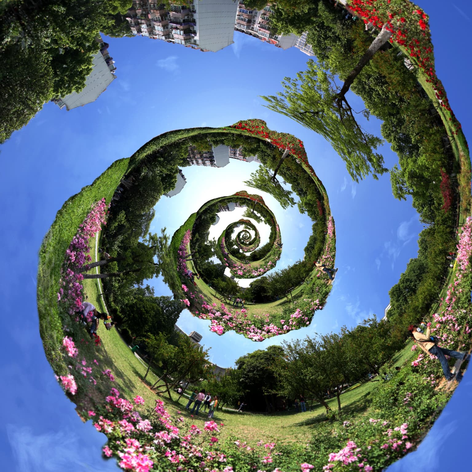 Image for entry 'Spiral'