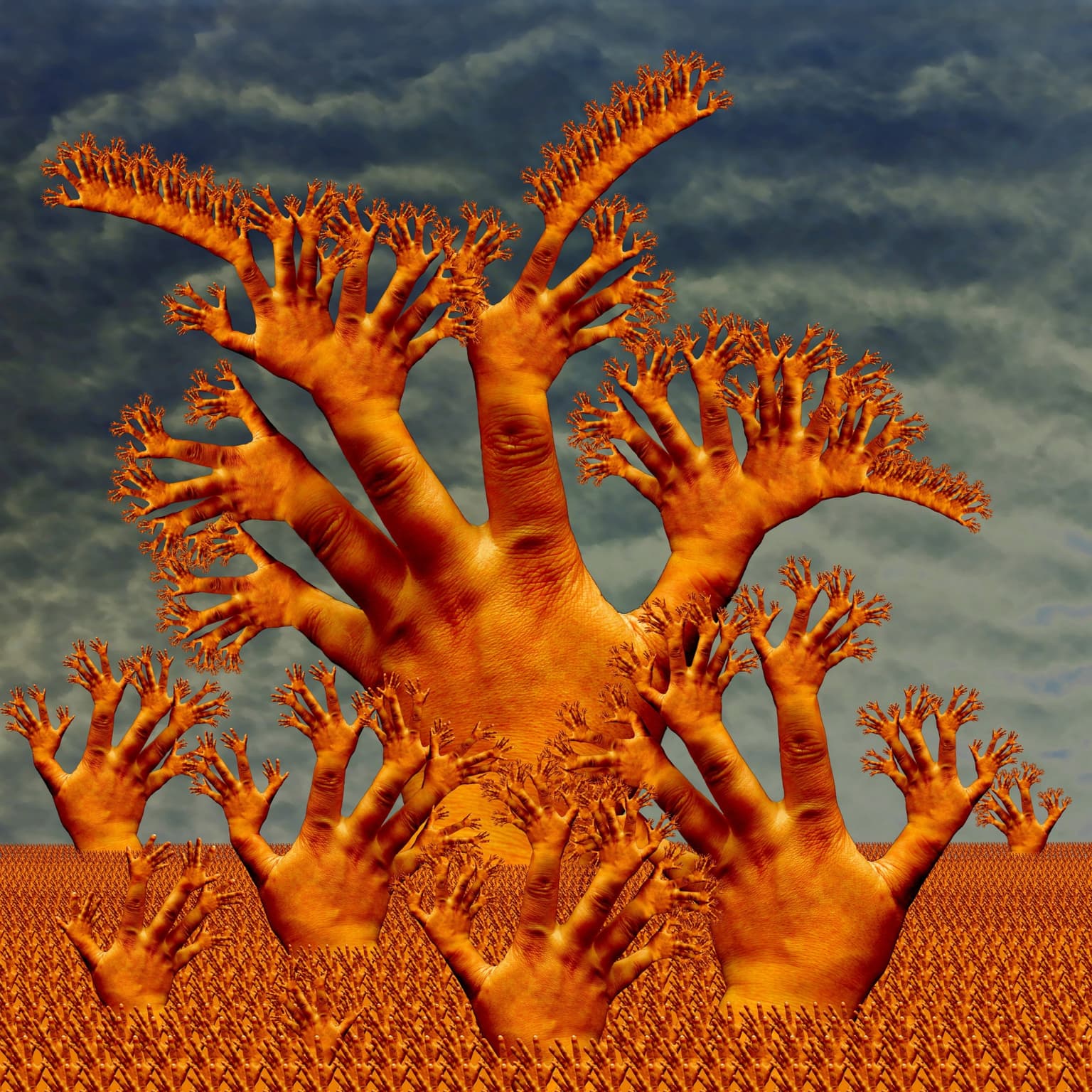 Image for entry 'Forest'