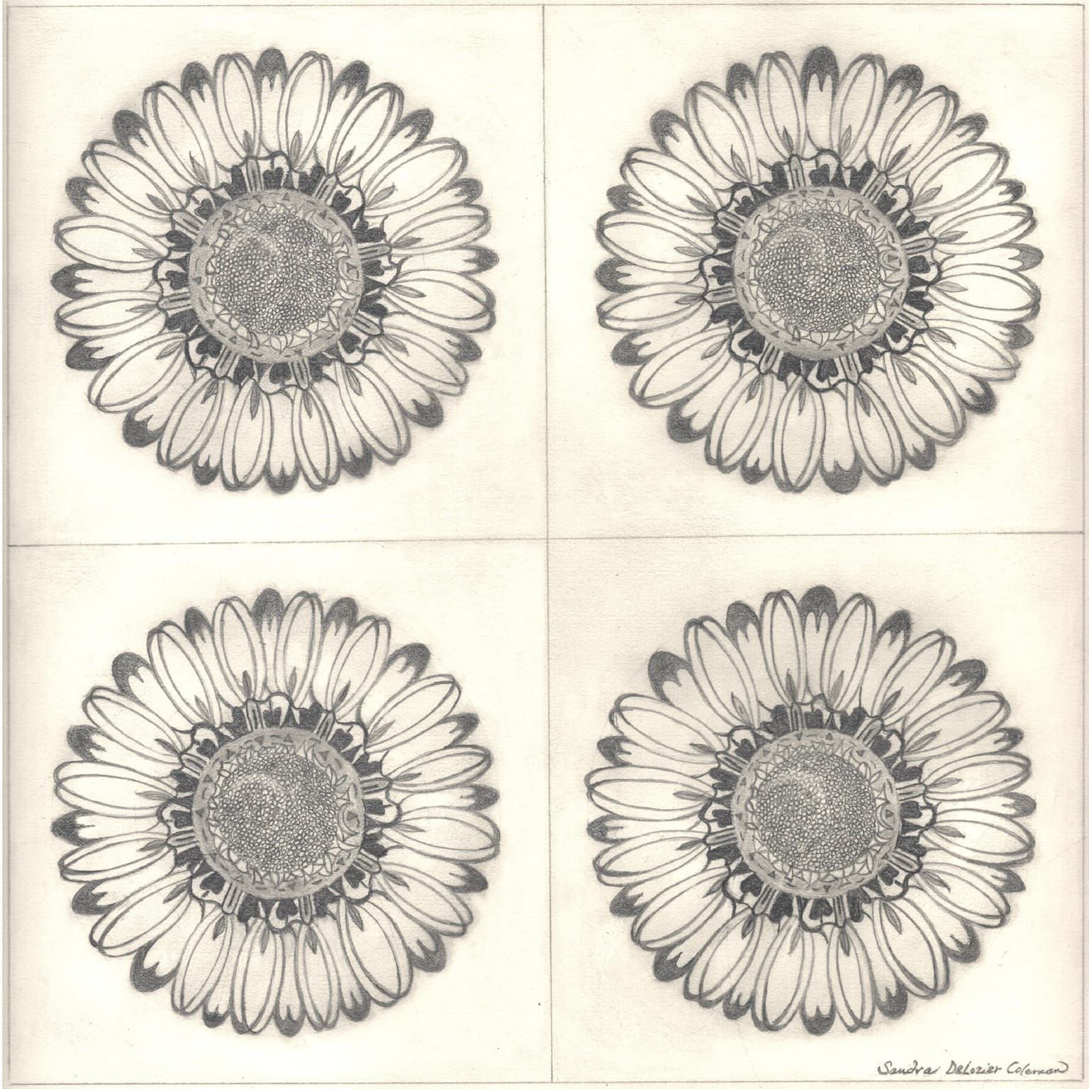 Image for entry 'Four Fantasy Flowers '