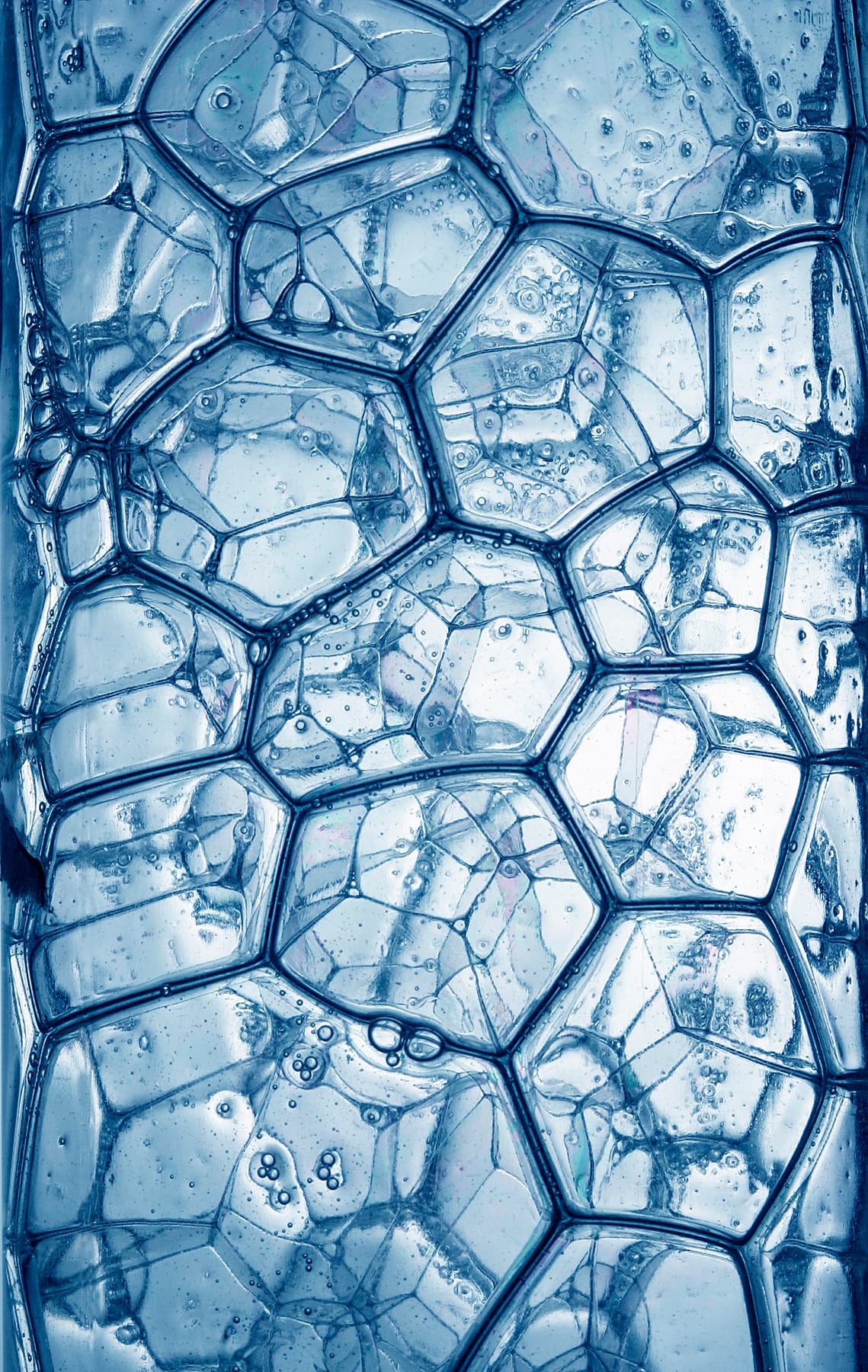 Image for entry 'Hexagon and pentagon accomodation 1'