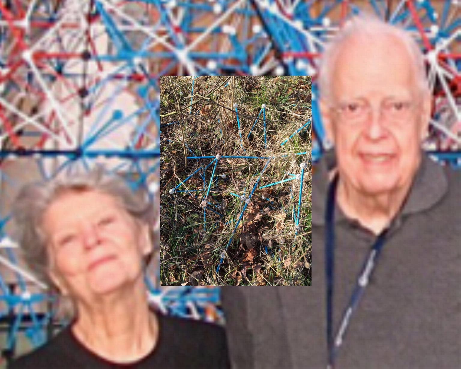 Image for entry 'Brownian serendipity..., a Tribute to Fabien & Jacqueline Vienne'