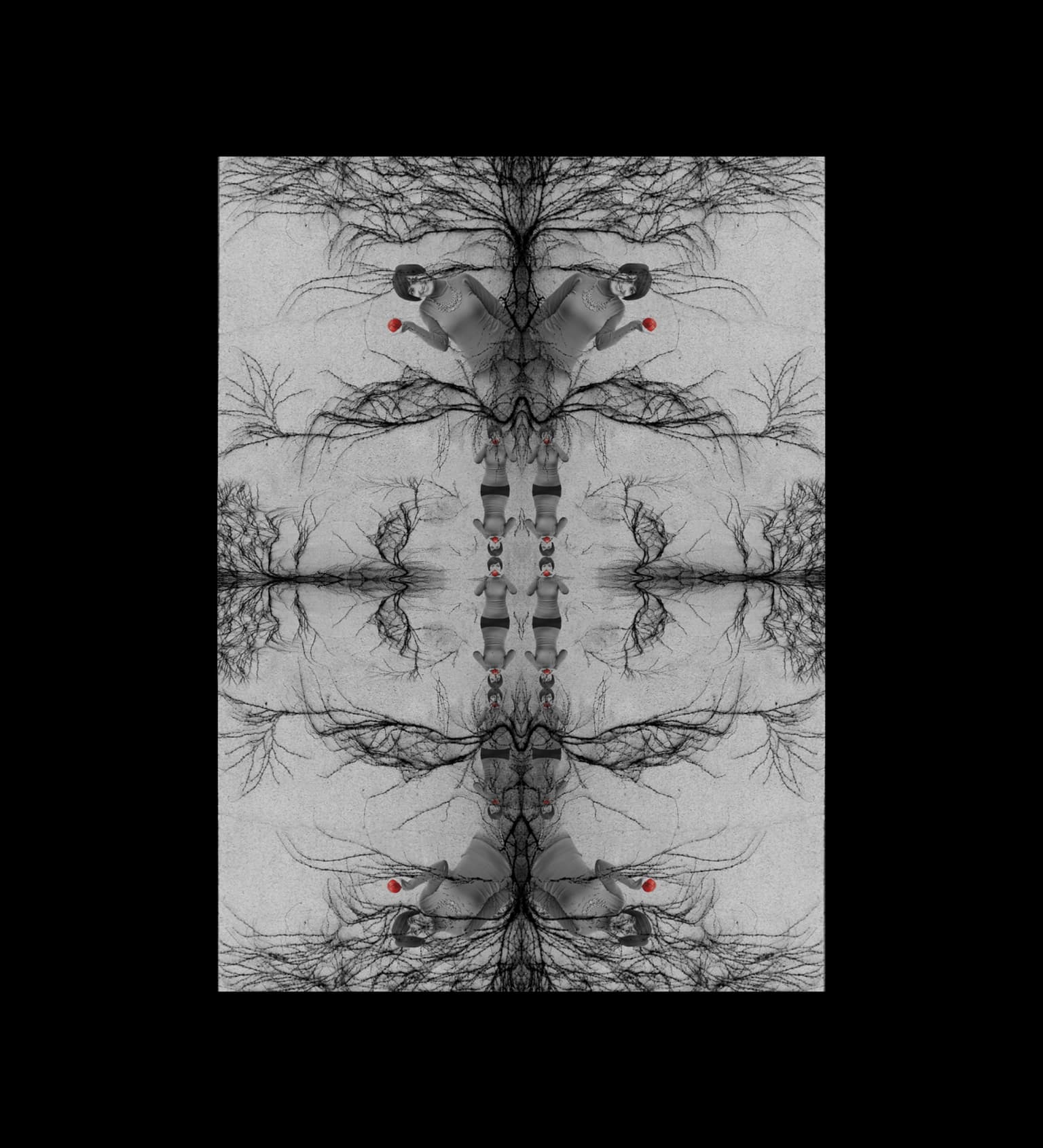 Image for entry 'Dream'